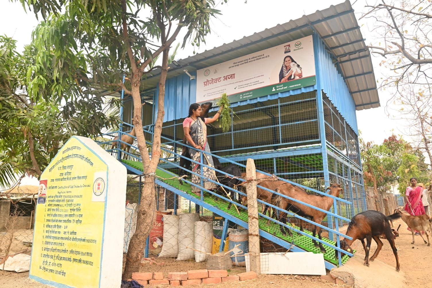 Goat shelter - Project Aaja